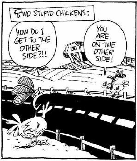 Two Stupid Chickens